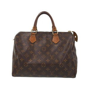 Louis Vuitton Monogram Speedy Handbag